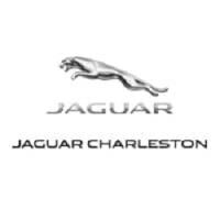 Jaguar Charleston image 1